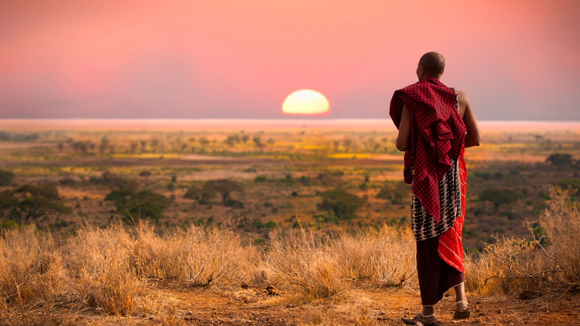 Maasai man in a red shuka looking out over the savanna at sunset